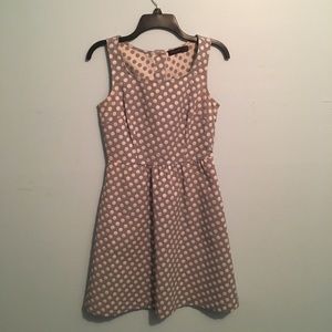 Fit and flare polka dot dress